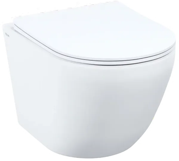 Безободковый подвесной унитаз IDDIS Blanco Q BLQRDSEI25, торнадо смыв, сиденье с микролифтом, белый